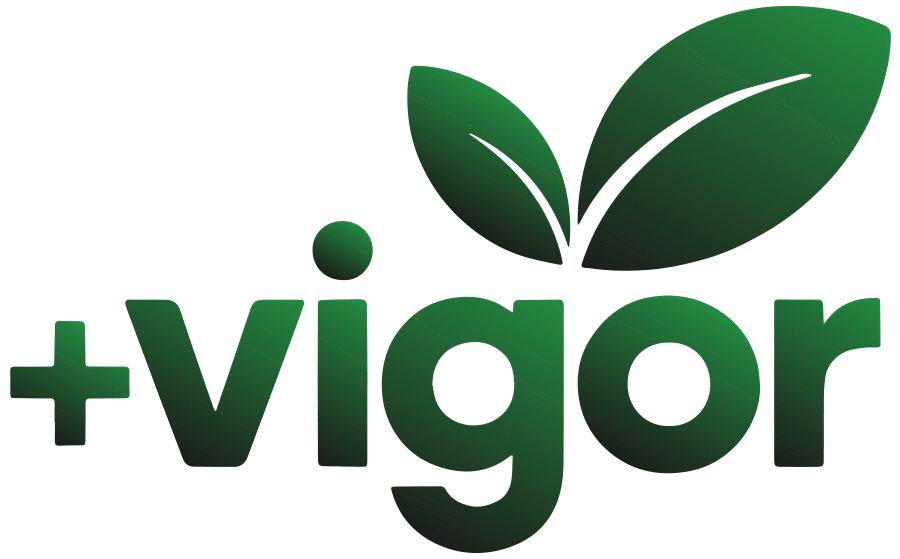 logomarca-mais-vigor