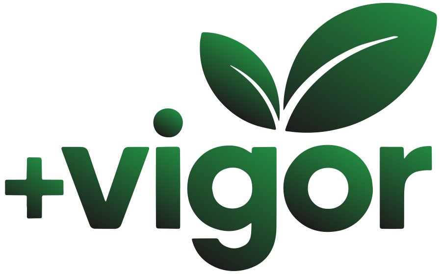 logomarca-mais-vigor